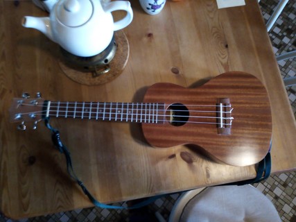 the finished instrument