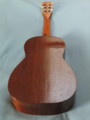 Backview Peruvian walnut